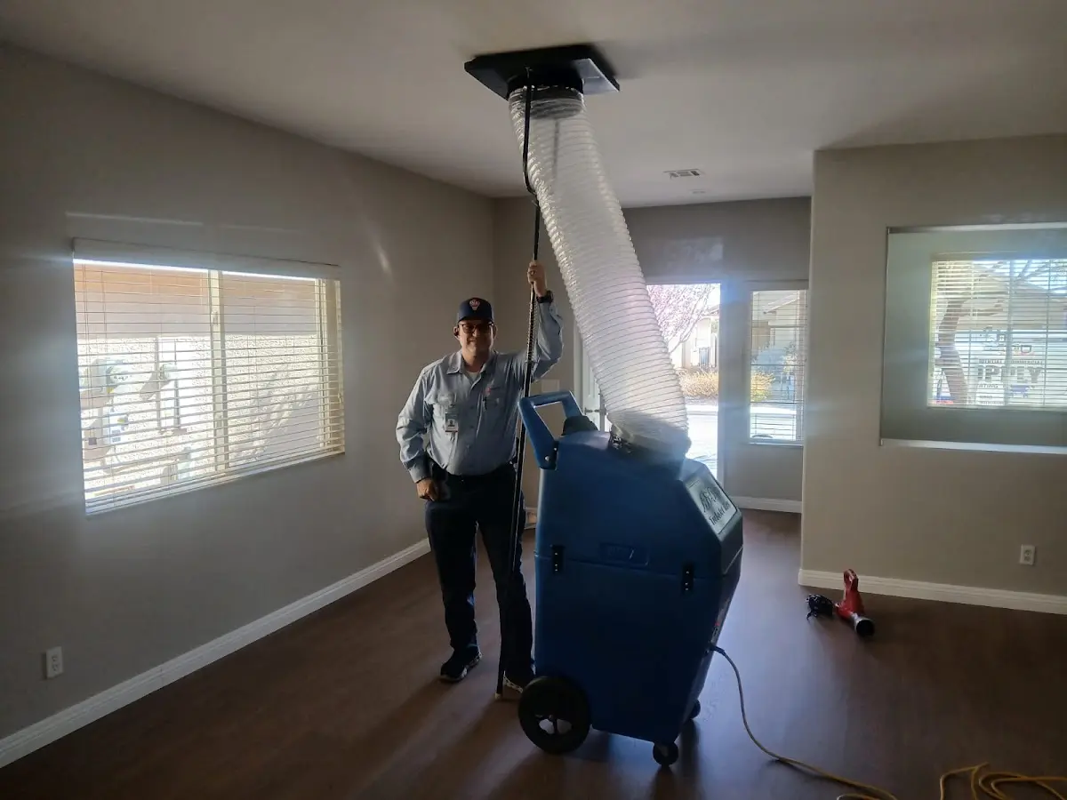 Professional Dryer Vent Cleaning work inside a Wrightsboro home